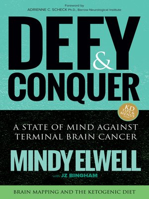 cover image of Defy and Conquer